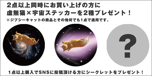 GYPSY CAT×久方広之 銀河猫 Tシャツ | VDS BIRDS EYE