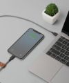 NATIVE UNION ネイティブユニオン iPhoneケーブル 1.2m USB TYPE-C