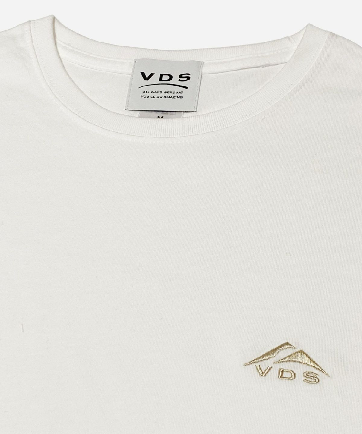 VDS BIRDS EYE バーズアイ オリジナルブランド Tシャツ ビッグシルエット