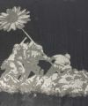 VDS 戦争と平和 キャンバスアート 壁飾り シルクスクリーンアート 油絵