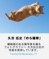 NOPE 流星猫 Tシャツ ブランド キャット ねこ シューティングスター 猫写真家 久方広之