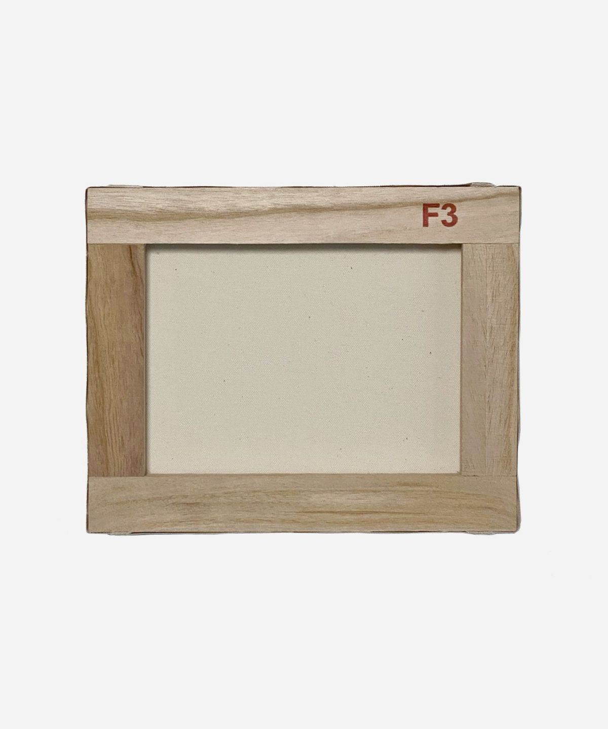 SK8easy スケージー アインシュタイン キャンパスアート