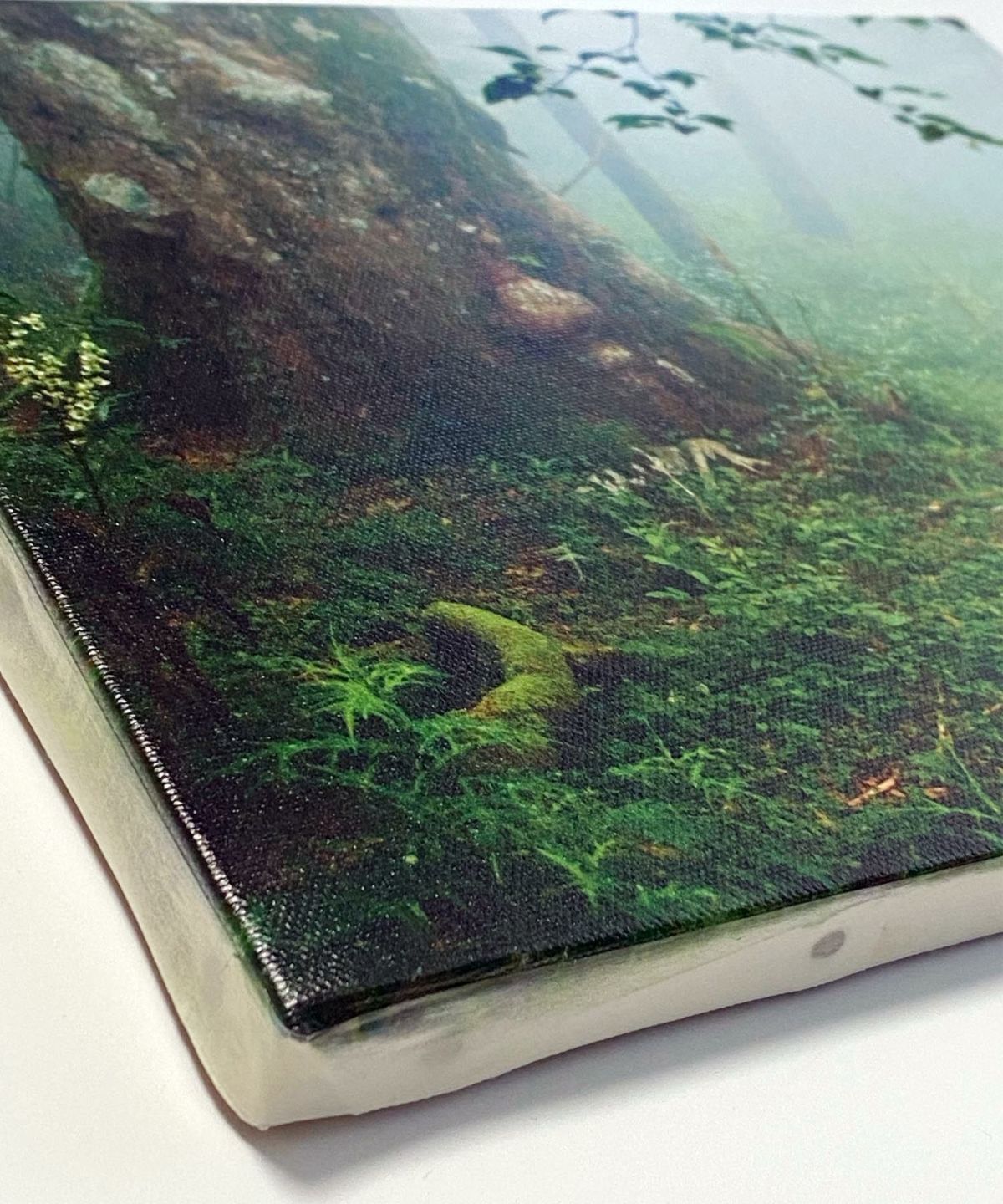 SK8easy スケージー キャンパスアート トーキングツリー 壁掛け 絵画 アート 写真