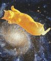 GYPSY CAT ジプシーキャット 銀河猫 トートバッグ 宇宙猫