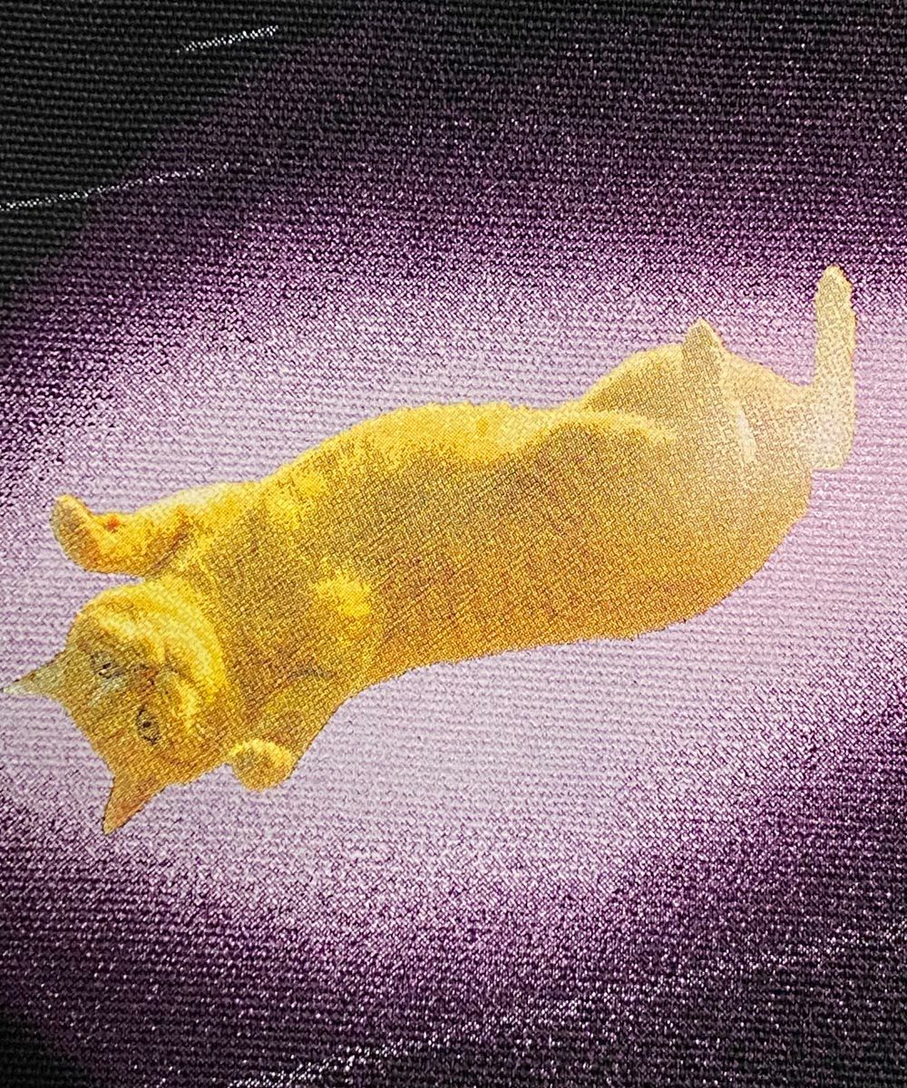 GYPSY CAT ジプシーキャット 流星猫 トートバッグ 宇宙猫