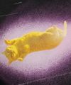GYPSY CAT ジプシーキャット 流星猫 トートバッグ 宇宙猫