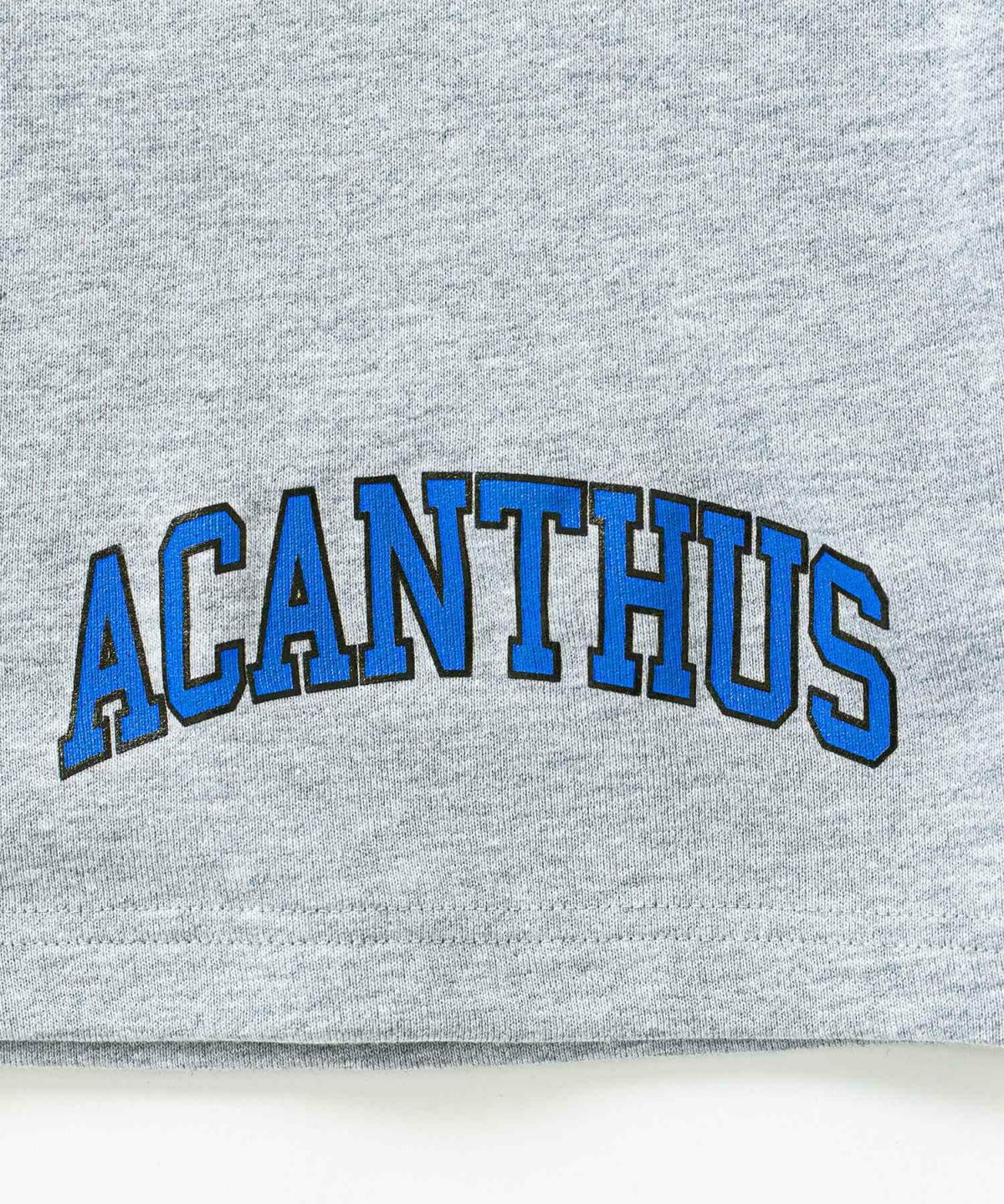 ACANTHUS アカンサス スウェットショーツ ハーフパンツ ショートパンツ