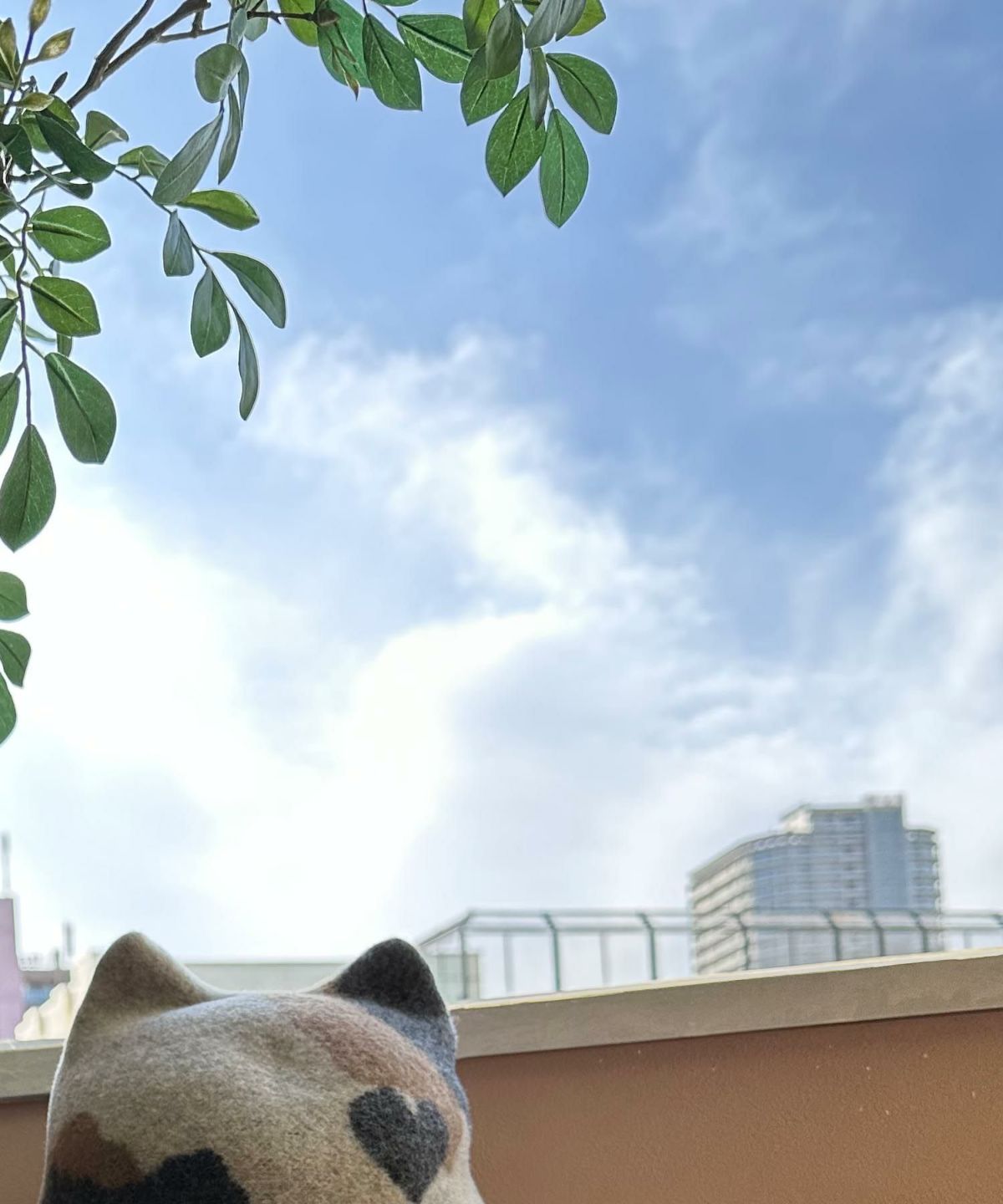 Dodge 三毛猫キャップ DD-417 ねこ キャット CAT 帽子 HAT CAP