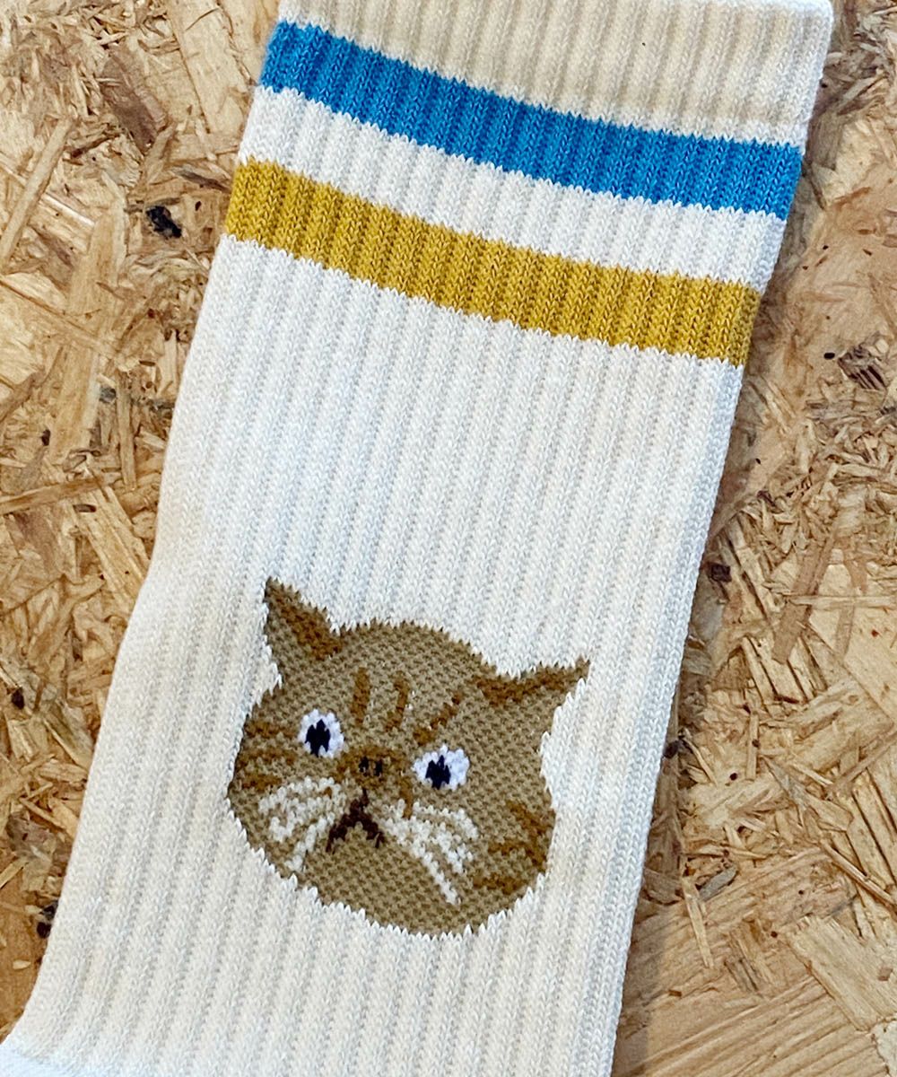 ROSTER SOX ロスターソックス 靴下 キャット 猫 限定