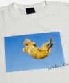 GYPSY CAT ジプシーキャット 久方広之 黄金比猫 Tシャツ のら猫拳 猫写真家