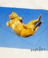 GYPSY CAT ジプシーキャット 久方広之 黄金比猫 Tシャツ のら猫拳 猫写真家