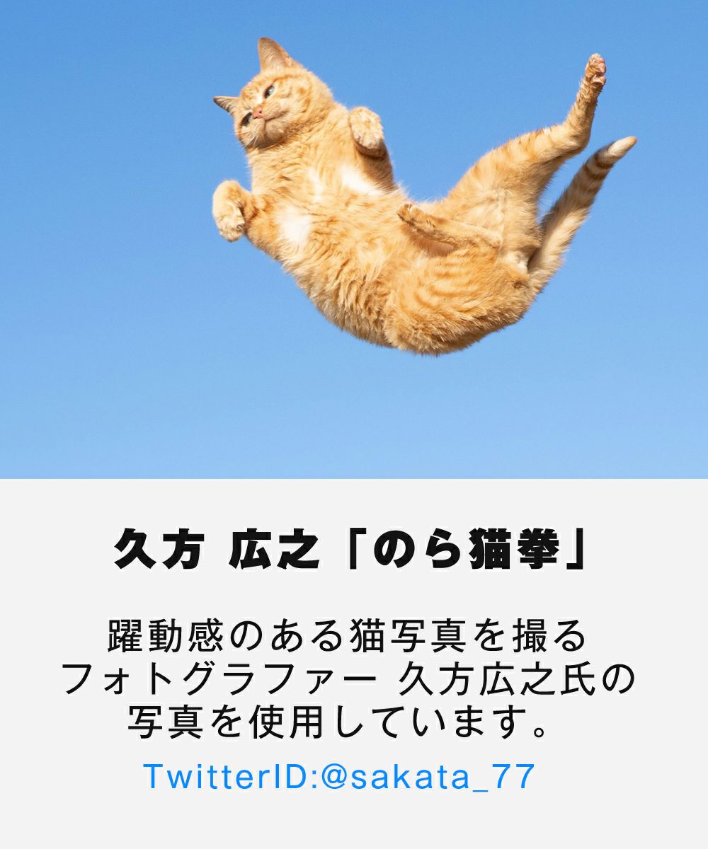 GYPSY CAT ジプシーキャット 久方広之 黄金比猫 Tシャツ のら猫拳 猫写真家