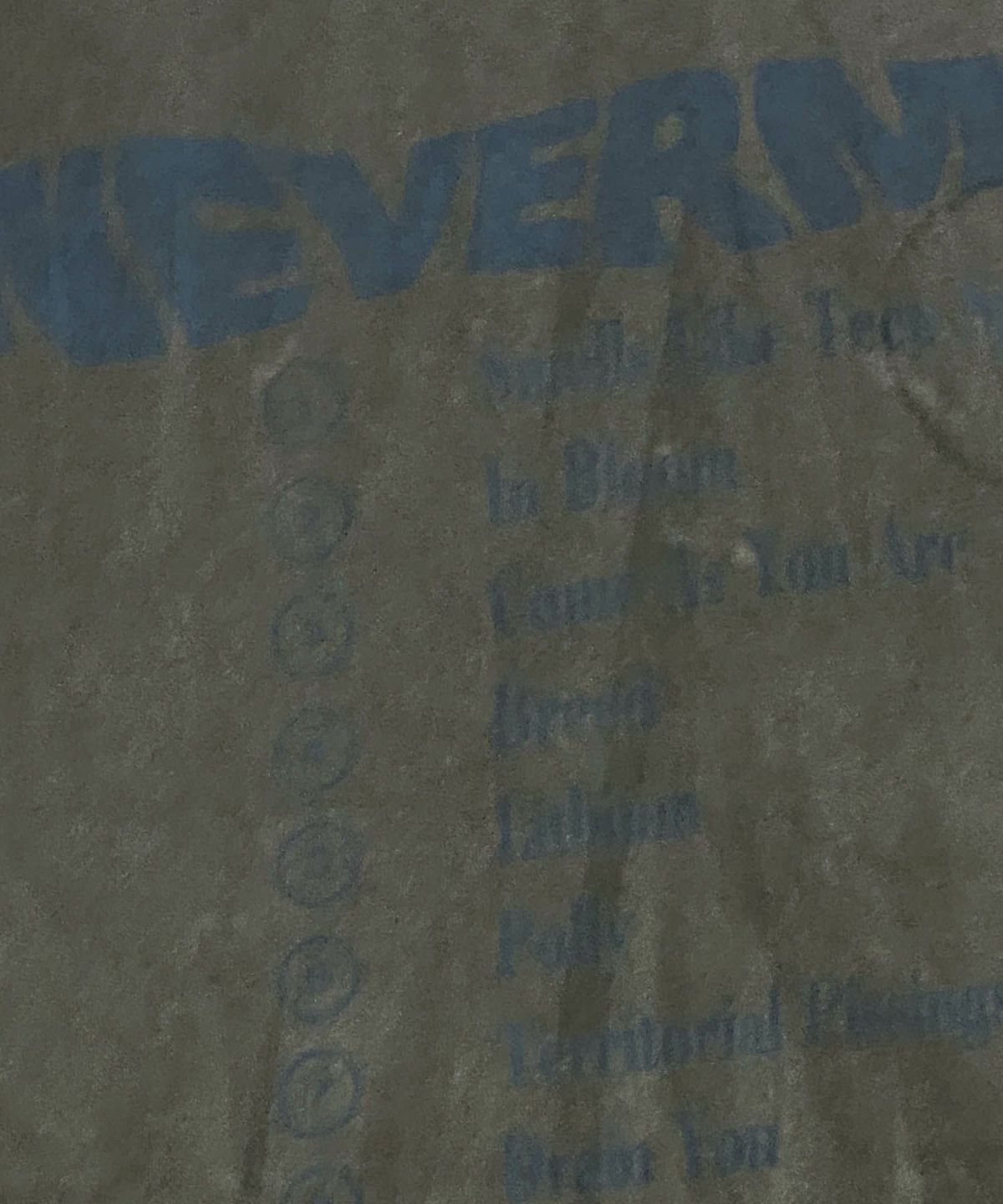 HANEI ニルヴァーナ NEVER MIND Tシャツ 古着 ヴィンテージ 暮れ染め