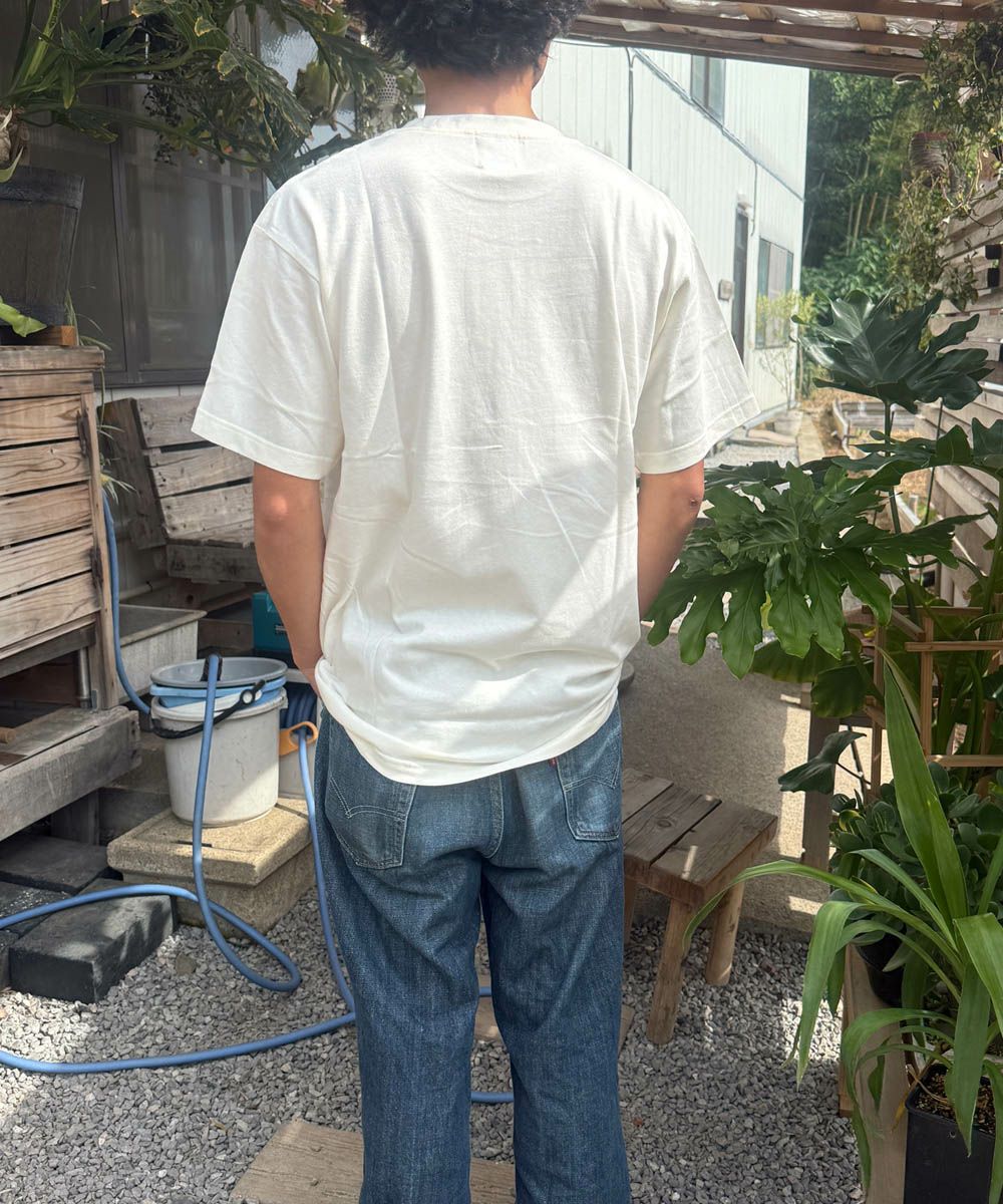 GYPSY CAT SCOTCH WHISKEY Tシャツ スコッチウィスキー