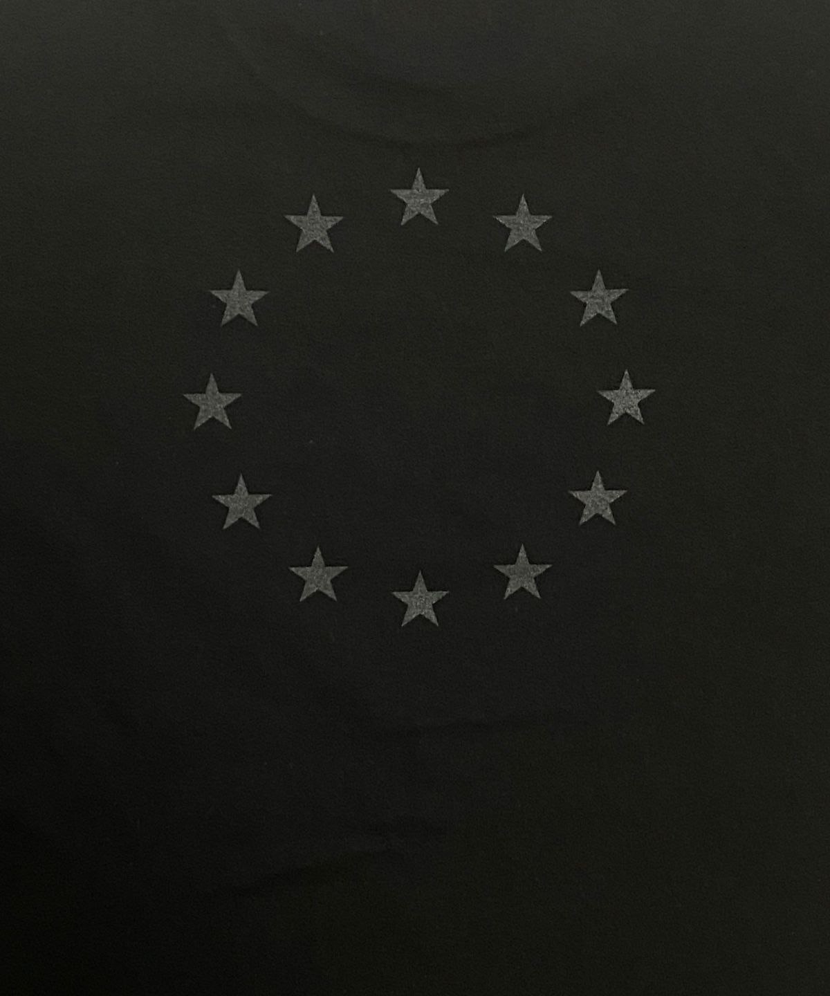 VDS VARMY Tシャツ