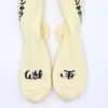 ROSTER SOX ロスターソックス 靴下 男性用 女性用 メンズ レディース ペアソックス レモンサワー