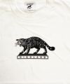 GYPSY CAT HIGHLAND Tシャツ 山猫 ヤマネコ