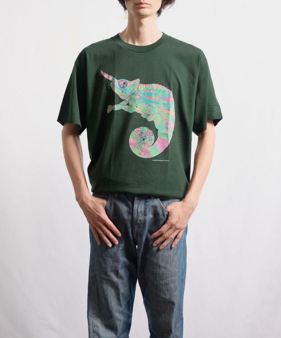 COTTON EXPRESSIONS Chameleon Tシャツ カメレオン