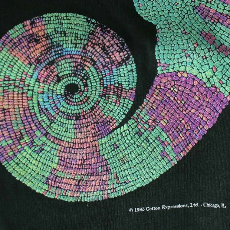 COTTON EXPRESSIONS Chameleon Tシャツ カメレオン