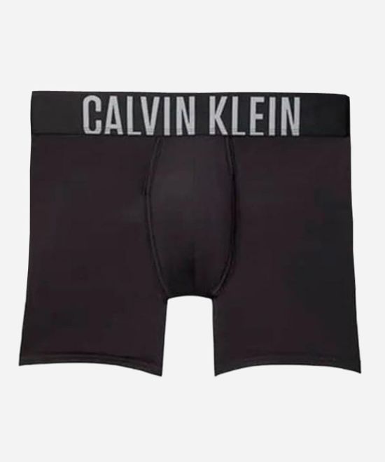 CALVIN KLEIN カルバンクライン ロングボクサーパンツ NB2594