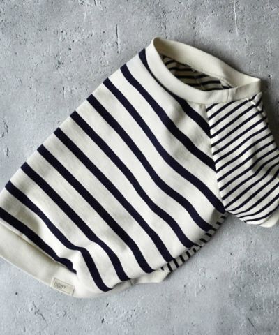 SIGNETONES BORDER RAGLAN TEE
