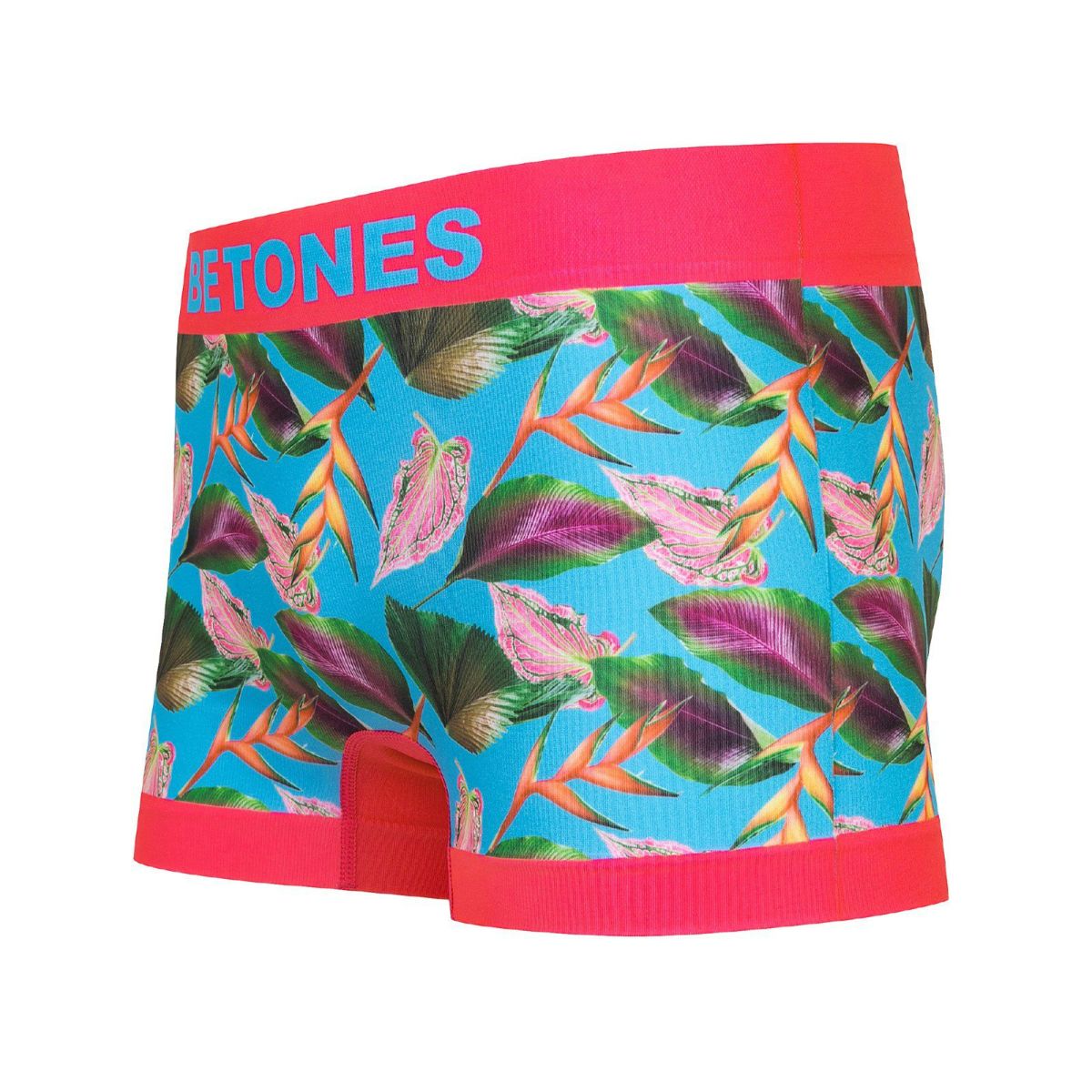 BETONES ビトーンズ BOTANICAL2