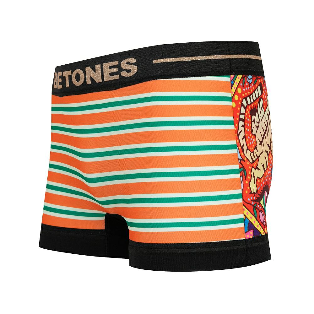 BETONES ビトーンズ WORLD TOUR2 INDIA2-INA007